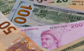 Türk Lirası'nda değer kaybı sürüyor: Euro rekor seviyeye dayandı!