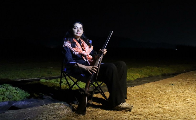Üzüm mesaisi; gündüz hasat, gece elde tüfek nöbet