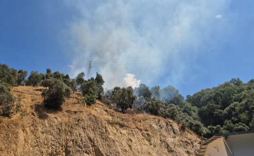Zeytinlikte çıkan yangın 1,5 saatte kontrol altına alındı