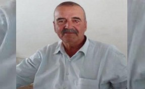 Arının soktuğu çiftçi hayatını kaybetti