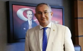 Gözaltına alınan Sertel serbest bırakıldı
