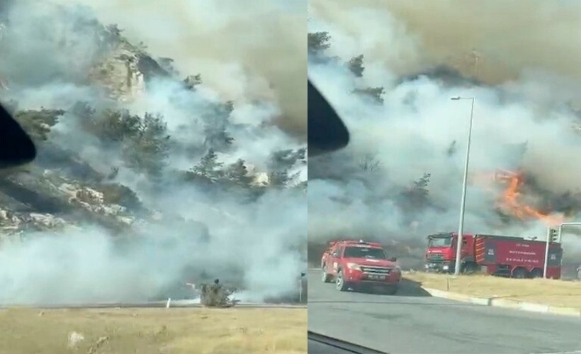 Aydın'daki maki yangını ormana sıçradı