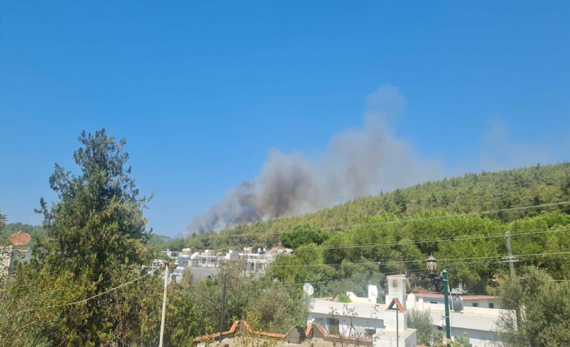 Bodrum'da ucuz atlatılan orman yangını
