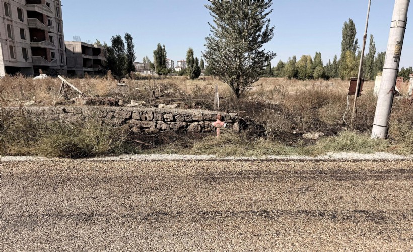 Evinin önündeki ot yangınında yaşamını yitirdi