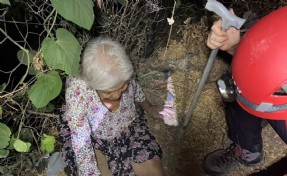 Kaybolan 86 yaşındaki kadını mama verdiği köpek buldu