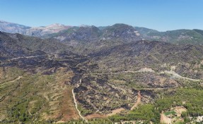 Muğla'da 3 bin hektar ormanın zarar gördüğü yangında yanan alanlar dronla görüntülendi