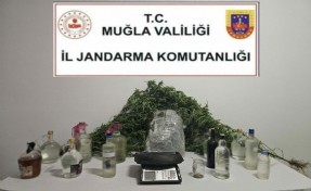 Muğla'da uyuşturucu ve sahte içki operasyonu
