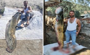 Oltayla 2 metrelik balık yakaladı