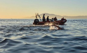 Otizmli ultra maraton yüzücüsü Tuna, Cebelitarık Boğazı'nı geçti