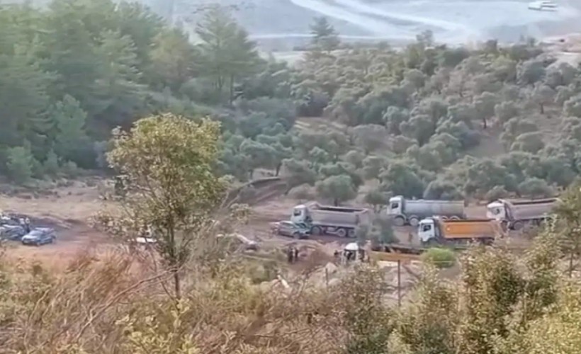 Zeytinlerin idam fermanı yürürlükte: Muğla’da sökümler başladı