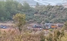 Zeytinlerin idam fermanı yürürlükte: Muğla’da sökümler başladı