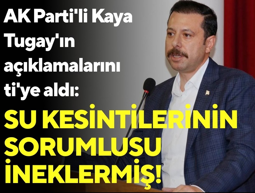 AK Parti'li Kaya Tugay'ın açıklamalarını ti'ye aldı: Su kesintilerinin sorumlusu ineklermiş!