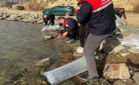 Afyonkarahisar'da 13 ilçede 39 göl ve gölete balık bırakıldı