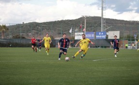 Altınordu evinde Adana'ya mağlup oldu