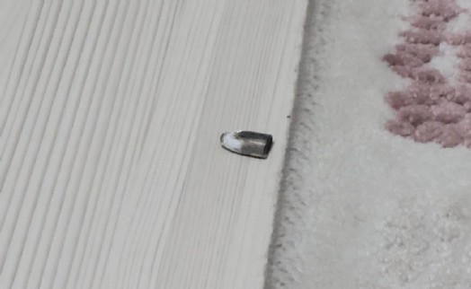 Aydın'da yorgun mermi çatıdan eve girdi