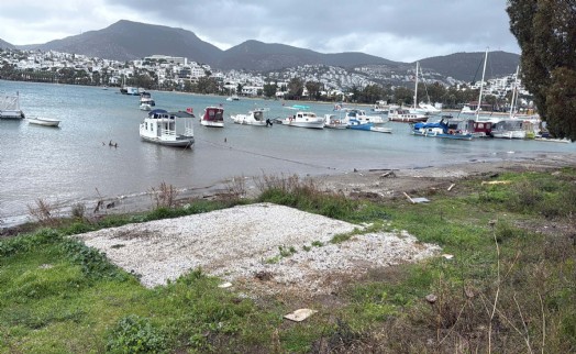 Bodrum’da kıyıya izinsiz bağlama yapan 60 tekneye 1,5 milyon lira ceza