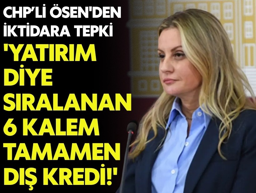 CHP'li Ösen'den iktidara tepki: 'Yatırım diye sıralanan 6 kalem tamamen dış kredi'