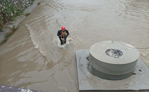 Dereye düşen köpek itfaiye ekipleri tarafından kurtarıldı