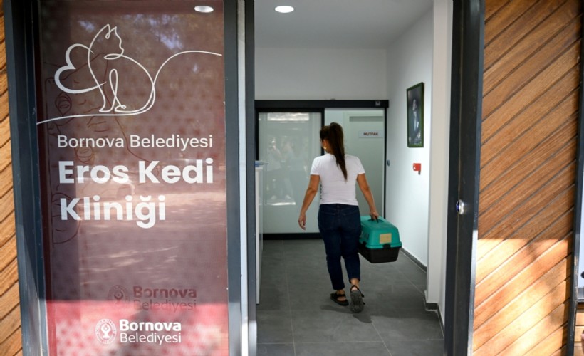 Eros Kedi Kliniği Bornova’da umut merkezi oldu