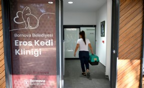 Eros Kedi Kliniği Bornova’da umut merkezi oldu