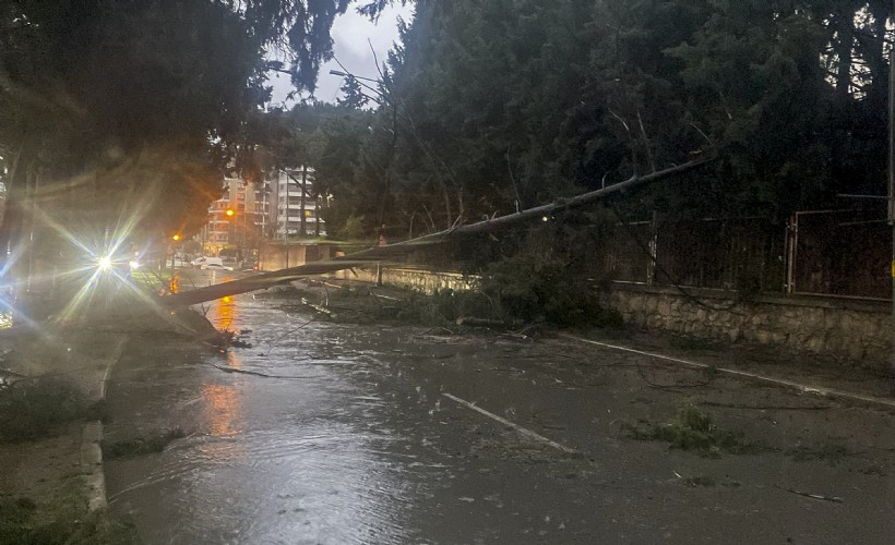 Fırtına Buca’yı vurdu, belediye ekipleri anında sahaya indi