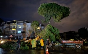Fırtınada devrilen ağaç, elektrik tellerini kopardı