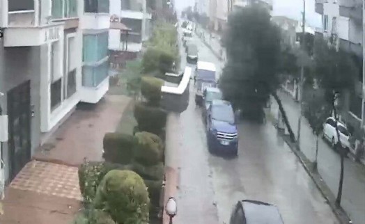 Fırtınada kökünden sökülen ağaç devrildi; o anlar kamerada
