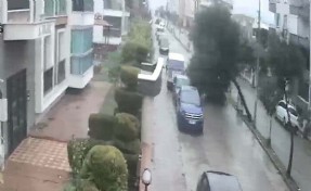 Fırtınada kökünden sökülen ağaç devrildi; o anlar kamerada