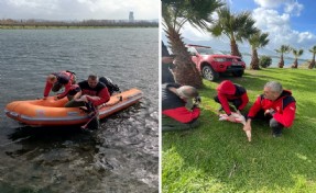 İzmir İtfaiyesi ayağına misina dolanan flamingoyu kurtardı