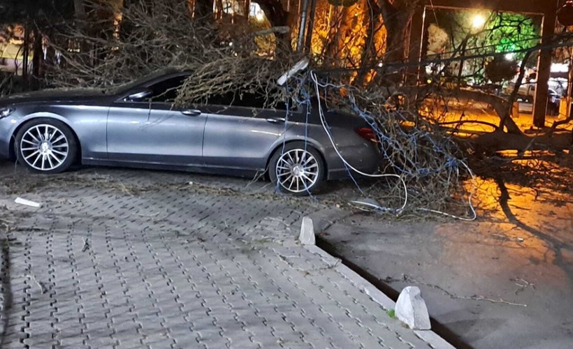 İzmir'de şiddetli rüzgar: Otomobilin üzerine ağaç devrildi