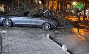 İzmir'de şiddetli rüzgar: Otomobilin üzerine ağaç devrildi
