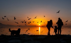 Kardeş Kadrajlar Uluslararası Fotoğraf Yarışması başlıyor