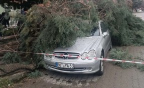 Kütahya'yı fırtına vurdu: Ağaçlar devrildi, çatılar uçtu