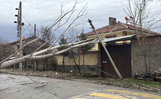Kütahya’da kuvvetli fırtına nedeniyle ağaçlar devrildi