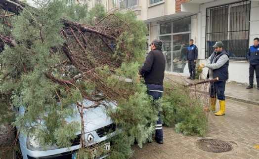 Manisa'da kuvvetli rüzgar nedeniyle çatılar uçtu, ağaçlar devrildi; 1 yaralı