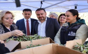 Menderes’te salep umudu