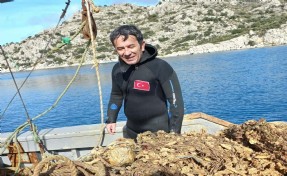 Muğla'da denizler hayalet ağlardan temizleniyor