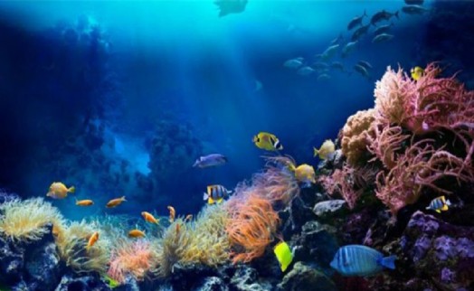 Okyanusların sesi Elhamra Sahnesi’nde