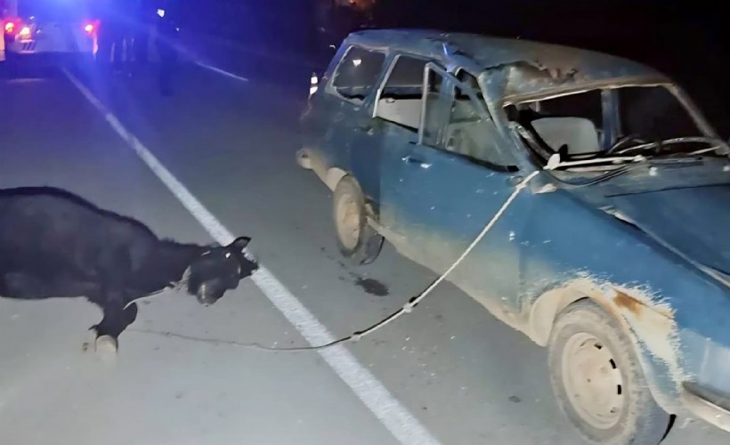 Otomobil ata çarptı: 2 yaralı