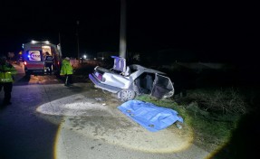 Otomobil elektrik direğine çarptı: 1 ölü, 2 yaralı
