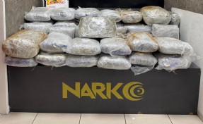 Çeşme'de durdurulan otomobilden 65 kilo skunk çıktı