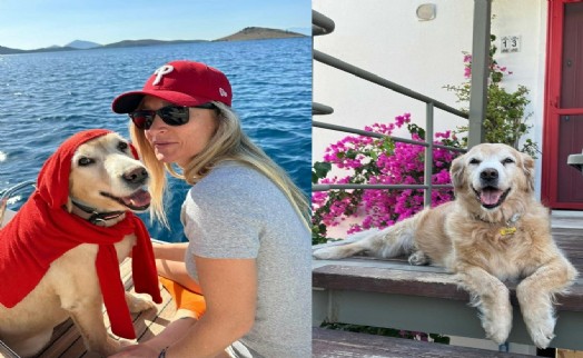 Otomobilin çarptığı köpek Çinko'nun sahibi emsal karar bekliyor!