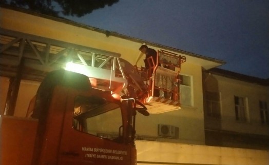 Salihli'de çatıda mahsur kalan kediyi itfaiye kurtardı