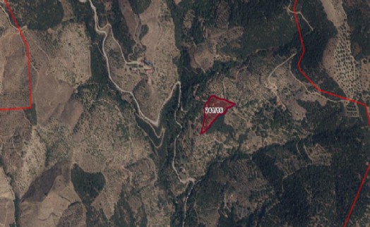 Tire’de tarihi alan koruma altına alındı