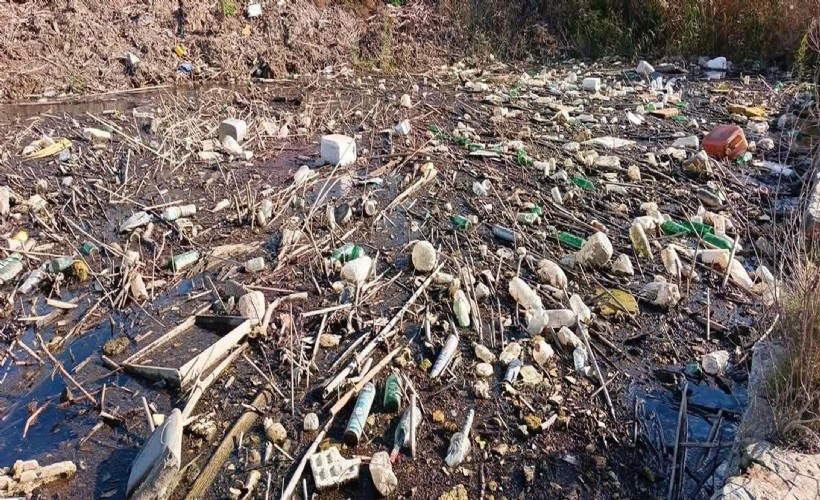 Uzmanından kritik uyarı: İzmir'de asıl sorun su kirliliği!