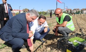 Yalova’nın ilk kent bostanı Bornova rehberliğiyle açıldı
