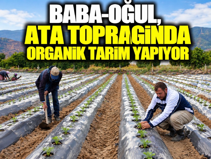 Baba-oğul, ata toprağında organik tarım yapıyor