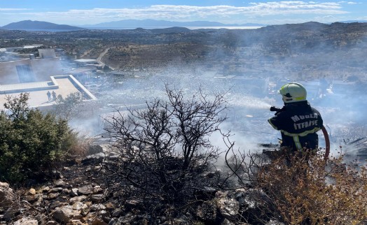 Bodrum’da maki yangını: Ekiplerin hızlı müdahalesi büyümesini önledi