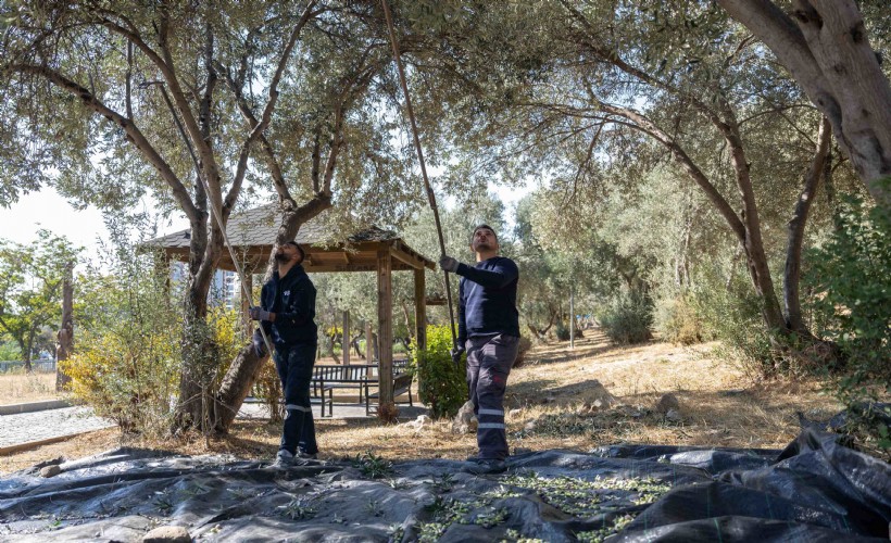 Bornova'da asırlık miras ihtiyaç sahibi ailelerin sofrasına uzanıyor