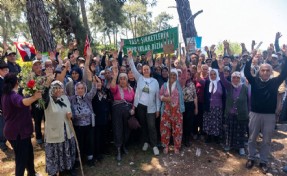 Danıştay Akbelen'de şirket lehine karar: Bölge halkı tepkili